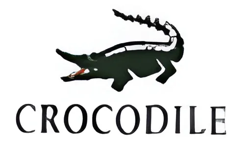 Crocodile