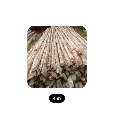 Kayu Gelam 4 Meter 2 cm x 3cm - Surabaya