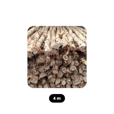 Kayu Gelam 4 Meter 3 cm x 5 cm - Surabaya