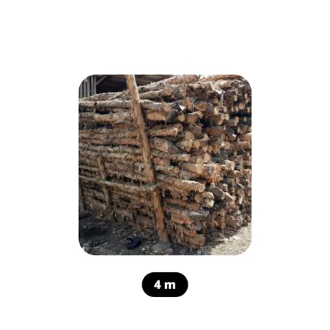 Kayu Gelam 4 Meter 6 cm x 10 cm - Surabaya