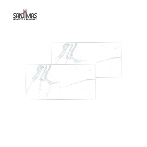 Sandimas Aeropagus PS 60x120