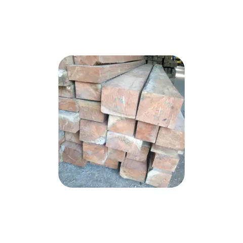 Kayu Kamper