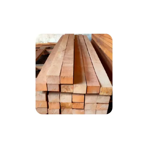 Kayu Kamper
