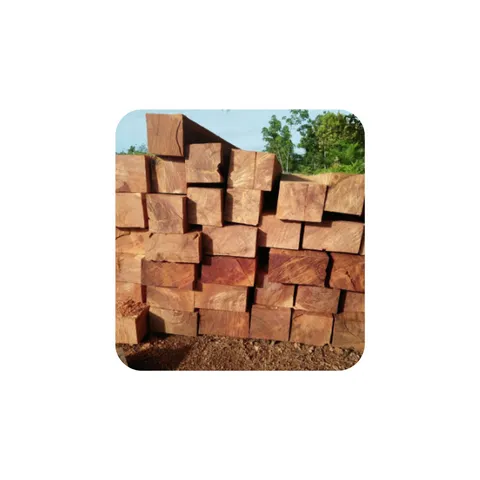 Kayu Kamper