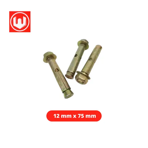 Wowo Dynabolt 12 mm x 75 mm 12 mm x 75 mm - Sinar Gemilang
