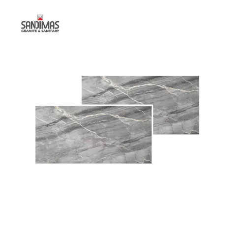 Sandimas Prosper Grey 60x120