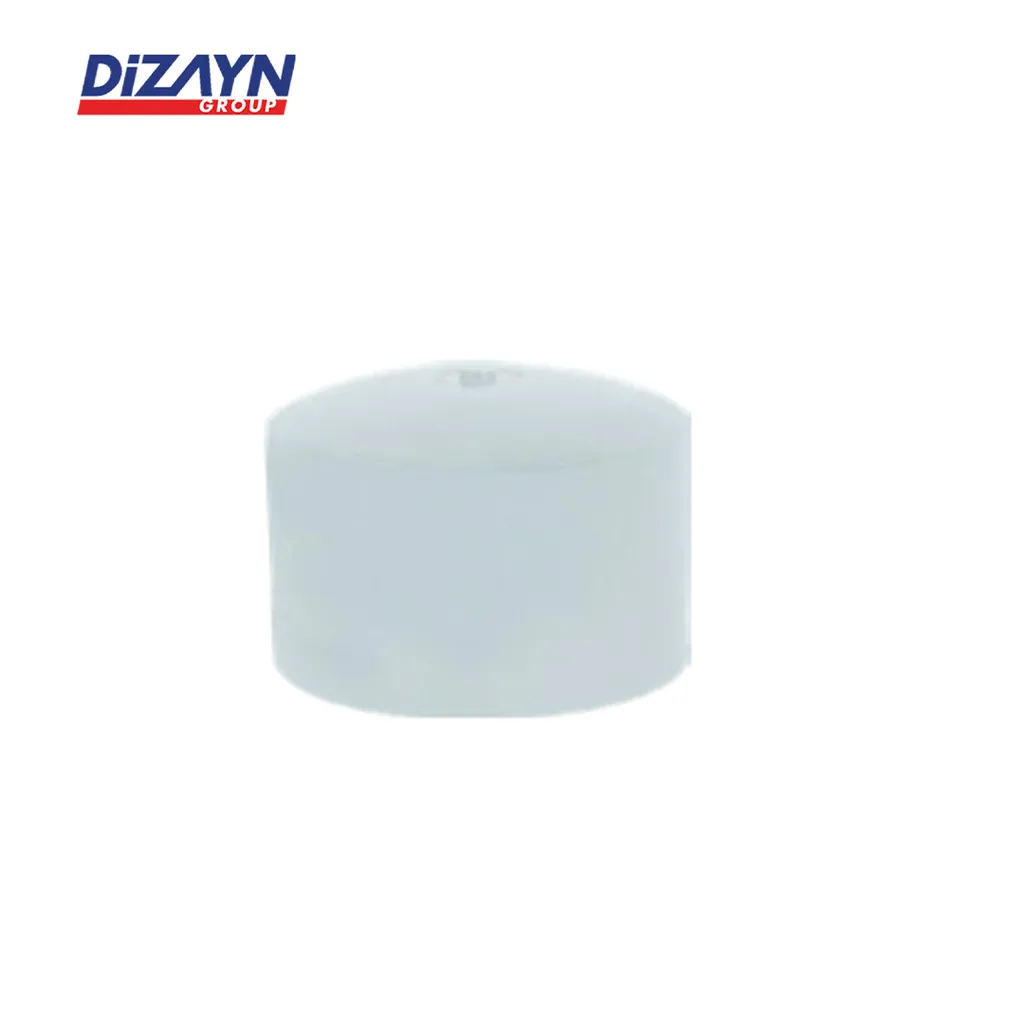 Dizayn Engineering PP-R End Cap PN16 (SDR 11) Pcs - Surabaya