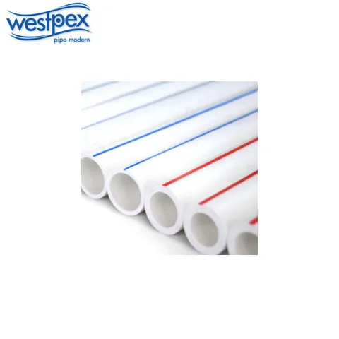 Westpex Pipa PPR Hot