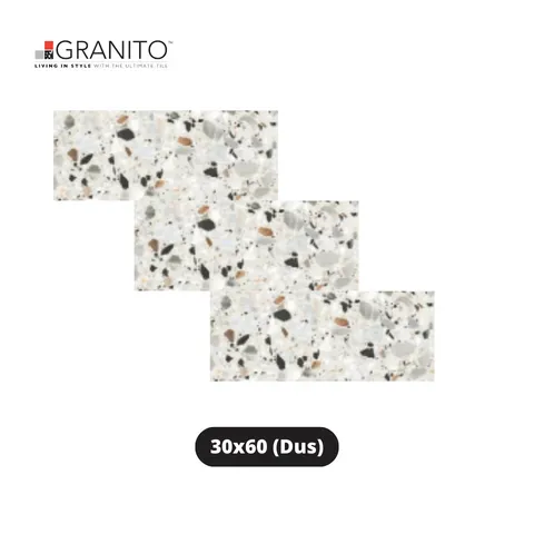 Granito Granit Forte Smooth Colori 30x60