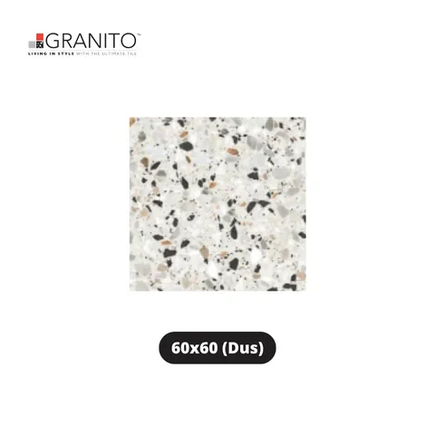 Granito Granit Forte Smooth Colori 60x60