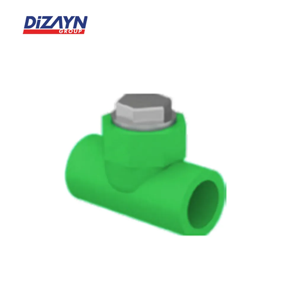 Dizayn Check Valve PN25 Pcs 20 mm - 160 mm - Surabaya