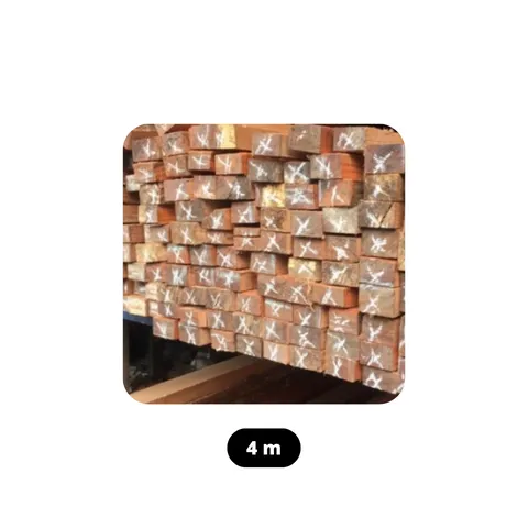 Kayu Lonjor 4 Meter