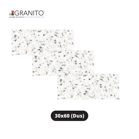 Granito Granit Forte Smooth Vivo 30x60 Dus - Surabaya