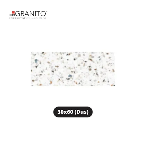 Granito Granit Forte Smooth Vivo 30x60