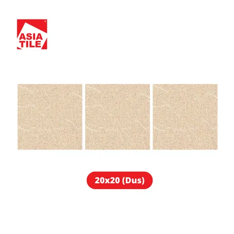 Asia Tile Keramik Roxy Brown 20x20