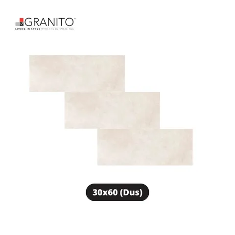 Granito Granit Terain Matte Gravel 30x60 Dus - Surabaya