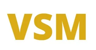 VSM