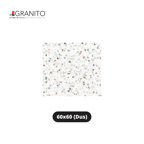 Granito Granit Forte Smooth Vivo 60x60 Dus - Surabaya