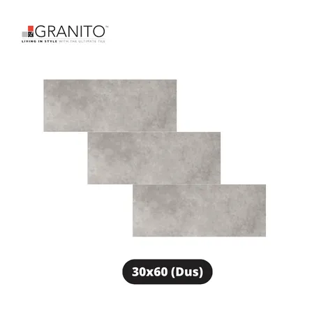 Granito Granit Terain Matte Montana 30x60