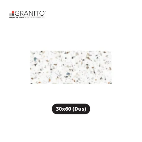 Granito Granit Forte Smooth Vivo 30x60 Dus - Surabaya
